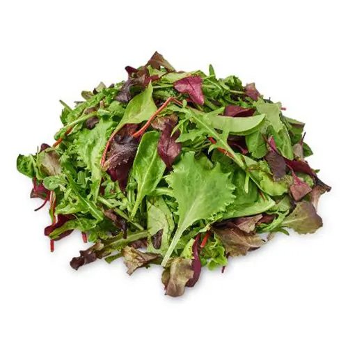 Mesclun Mix Asian Mix 125g UAE